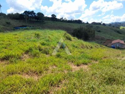 Stio para Venda, em Bandeira do Sul, bairro Permetro Rural de Bandeira do Sul, 3 dormitrios, 1 sute