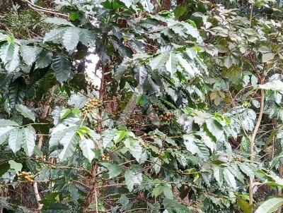 Stio para Venda, em Caldas, bairro Permetro rural de Caldas