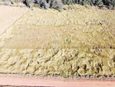 Chcara para Venda, em So Sebastio do Paraso, bairro Estrada