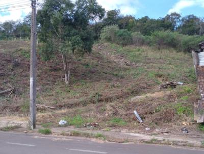 Terreno para Venda, em Marau, bairro .