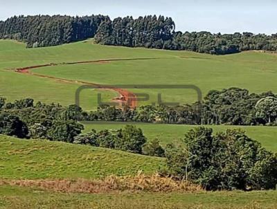 Fazenda para Venda, em Guarapuava, bairro .