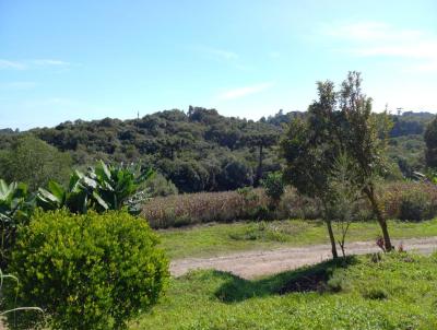 Chcara para Venda, em Balsa Nova, bairro Jardim Bela Vista