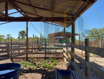 Stio para Venda, em Nossa Senhora do Livramento, bairro rural