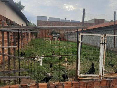 Terreno para Venda, em Araatuba, bairro Umuarama