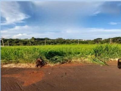 Lote para Venda, em Rio Verde, bairro Residencial Cana II