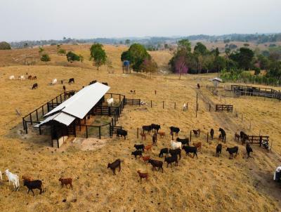 Chcara para Venda, em Colorado do Oeste, bairro Zona Rural