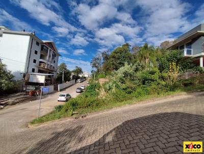 Terreno para Venda, em Nova Petrpolis, bairro Vila Germnia