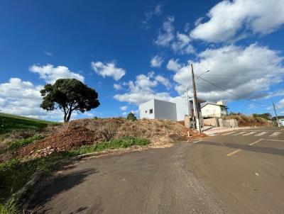 Terreno para Venda, em Faxinal dos Guedes, bairro CENTRO