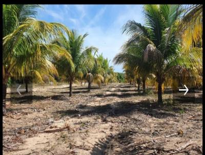 Fazenda para Venda, em Conde, bairro Zona Rural, 3 dormitrios, 4 banheiros, 3 sutes, 10 vagas