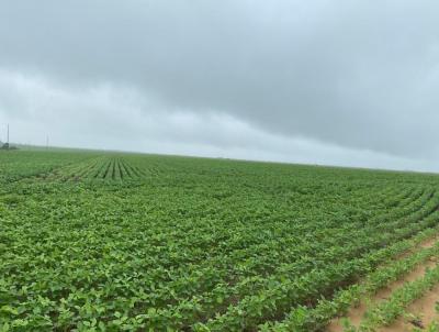 Fazenda para Venda, em Boa Vista, bairro Zona Rural