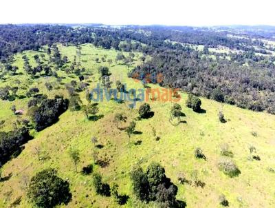 Fazenda para Venda, em Catalo, bairro rea Rural de Catalo