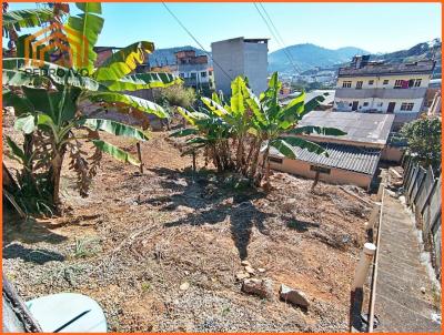 Casa para Venda, em Lima Duarte, bairro Vila Belmiro, 3 dormitrios, 1 banheiro