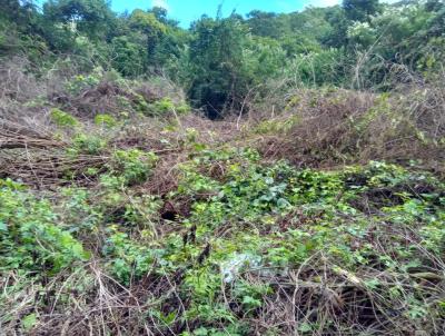 rea para Venda, em , bairro ILHA DE GUARATIBA   