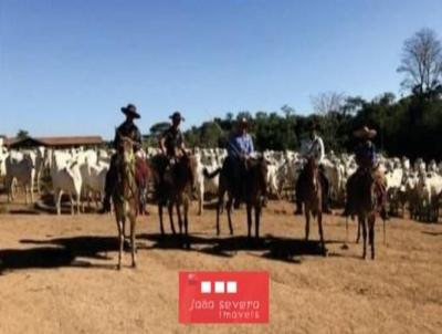 Fazenda para Venda, em Rondolndia, bairro , 20 dormitrios, 15 banheiros