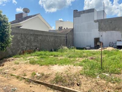 Terreno para Venda, em Primavera do Leste, bairro Buritis I