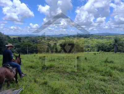 Fazenda para Venda, em Itajupe, bairro Zona Rural, 4 dormitrios