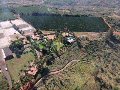 Fazenda para Venda, em Piumhi, bairro Rural, 4 dormitrios, 6 banheiros, 4 sutes, 5 vagas