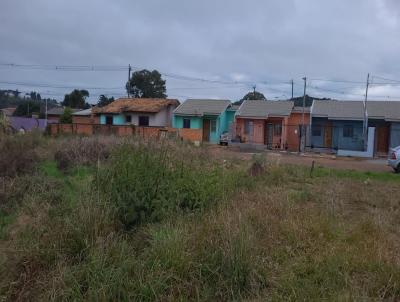 Terreno para Venda, em Palmas, bairro Lagoo