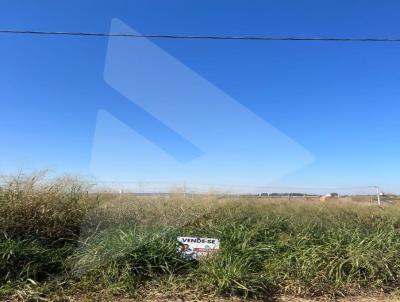 Terreno para Venda, em Rio Verde, bairro Recanto dos Ips