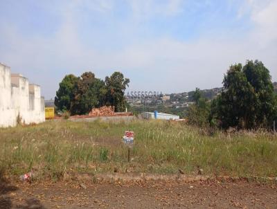 Terreno para Venda, em Jata, bairro Vila Sofia