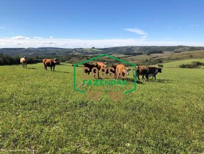 Fazenda para Venda, em Encruzilhada do Sul, bairro Interior