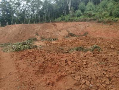 Terreno para Venda, em Cotia, bairro Grilos