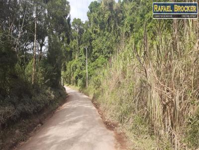 Stio para Venda, em Trs Coroas, bairro Figueira