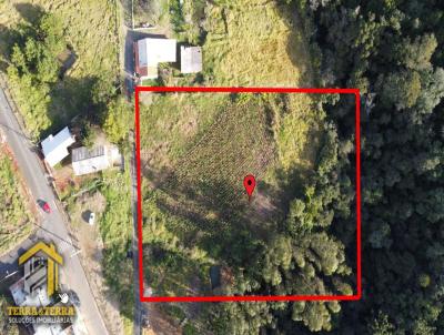 Terreno para Venda, em Telmaco Borba, bairro Area 6