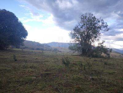 rea para Venda, em Cambu, bairro cambui