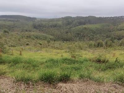 rea para Venda, em Suzano, bairro QUINTA DIVISO