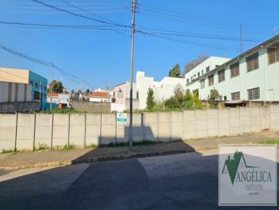 Terreno para Venda, em Capivari, bairro Centro