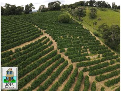 Fazenda para Venda, em Bandeira do Sul, bairro rea Rural