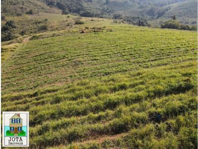 Fazenda para Venda, em Poos de Caldas, bairro rea Rural