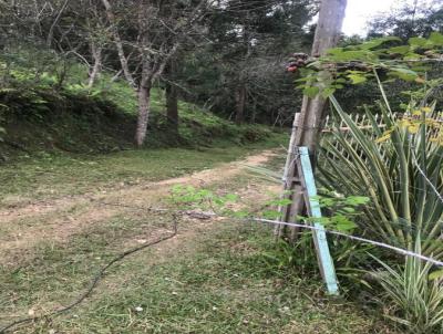 Chcara para Venda, em Bocaiva do Sul, bairro no informado, 5 dormitrios, 2 banheiros, 10 vagas