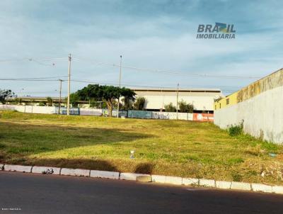 Lote para Venda, em Braslia, bairro Santa Maria