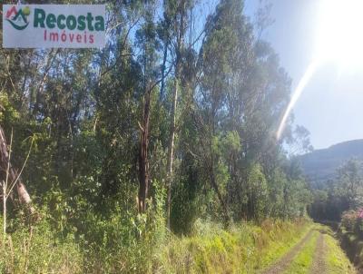 Chcara para Venda, em So Francisco de Paula, bairro BOA VISTA