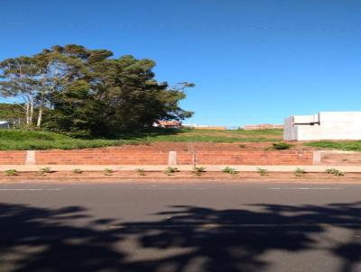 Terreno para Venda, em Cianorte, bairro Residencial Atlntico III