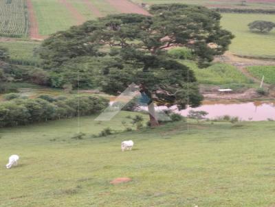 Stio para Venda, em Caldas, bairro Permetro rural de Caldas, 4 dormitrios, 2 banheiros, 1 sute, 2 vagas