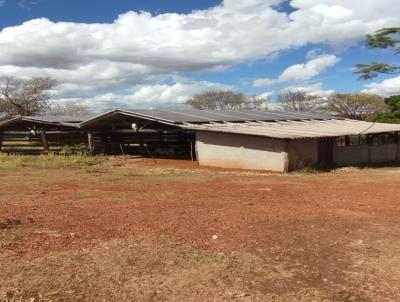 Fazenda para Venda, em Araguari, bairro Zona rural, 4 dormitrios, 3 banheiros, 4 vagas