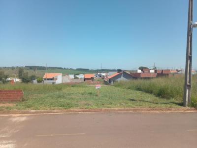 Terreno para Venda, em Cianorte, bairro Residencial Belas Artes