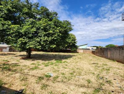 Terreno para Venda, em Campo Grande, bairro Amamba