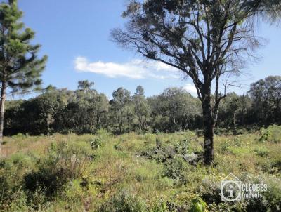 Stio / Chcara para Venda, em Encruzilhada do Sul, bairro Interior