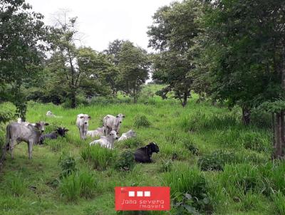 Fazenda para Venda, em Pintpolis, bairro 