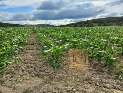 Fazenda para Venda, em Peanha, bairro Zona Rural