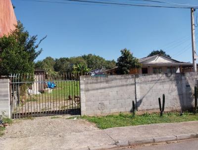 Terreno para Venda, em Quatro Barras, bairro Menino Deus