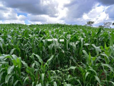 Fazenda para Venda, em Resende Costa, bairro Zona Rural