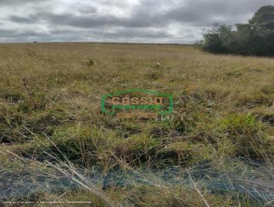 Fazenda para Venda, em Sentinela do Sul, bairro Interior