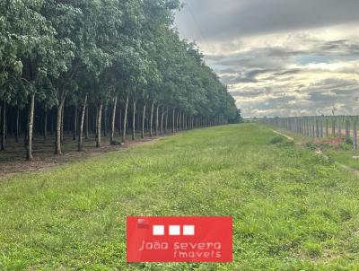 Fazenda para Venda, em Muricilndia, bairro , 20 dormitrios, 15 banheiros