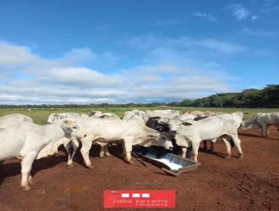 Fazenda para Venda, em Cristalndia, bairro 