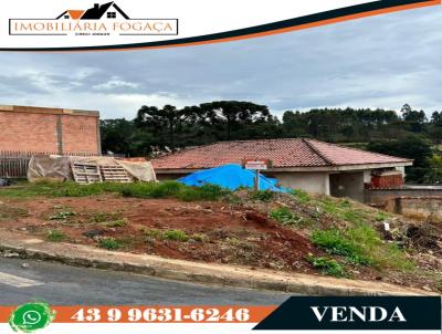 Terreno para Venda, em Jaguariava, bairro Jardim Edite